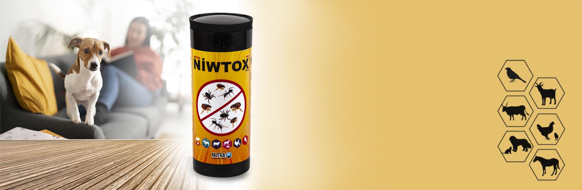 NIWTOXBit, Pire, Kene Tozu